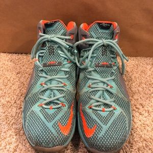 lebron james basketball shoes